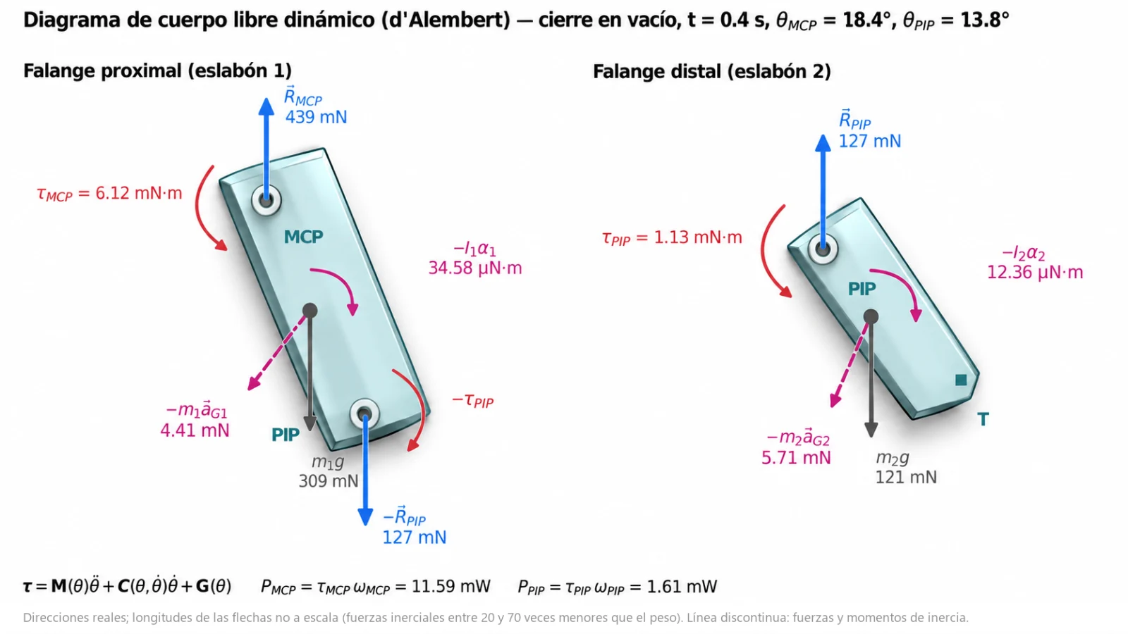 Diagrama de cuerpo libre dinámico de las dos falanges