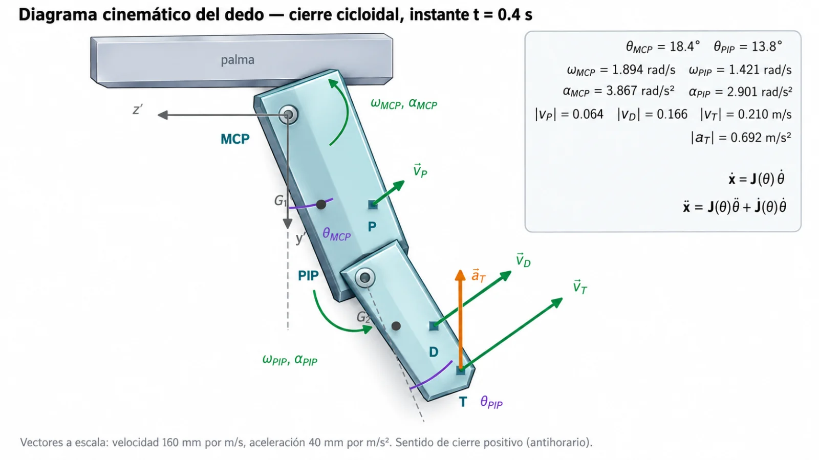 Diagrama cinemático del dedo con ángulos, velocidades y aceleraciones